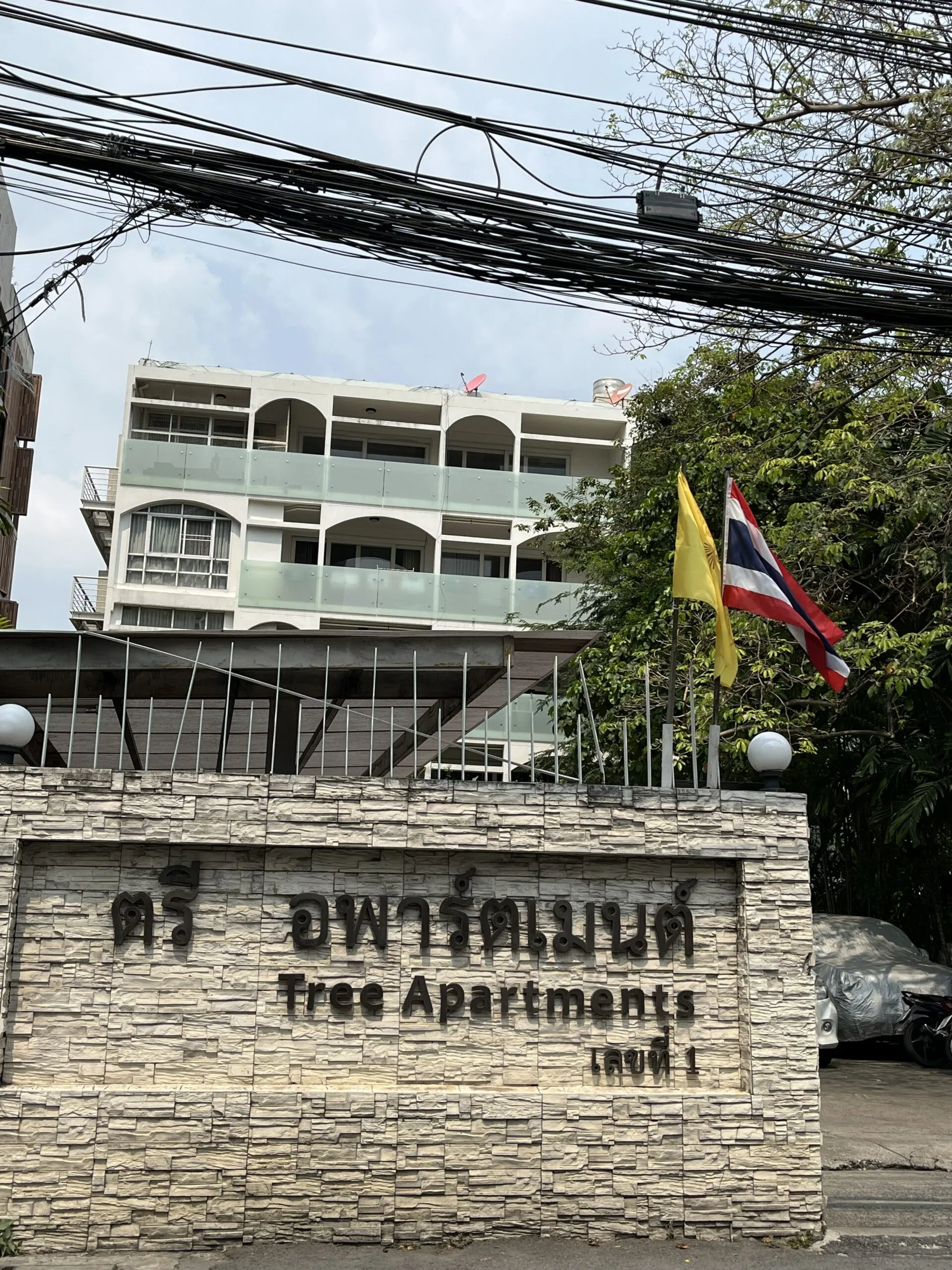 Tree Apartment
